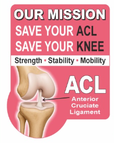Our mission: Save your ACL, save your knee — strength, stability, mobility